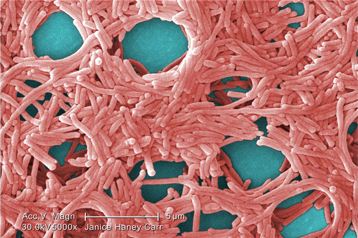 Причины гипертрофированной боязни микробов