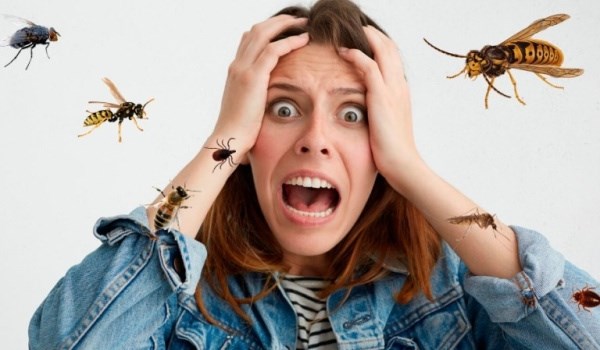 Почему люди подвержены страху насекомых?